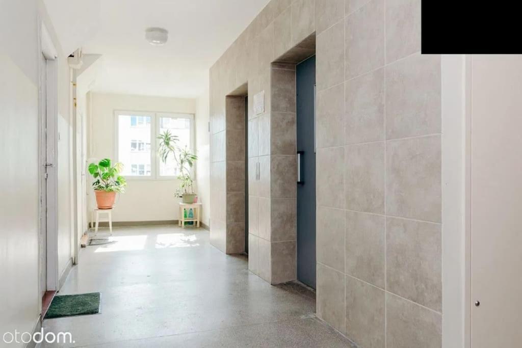View Center Apartament